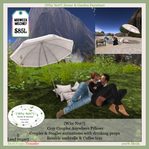 {Why Not_} Croy Couples Anywhere Pillows Ad