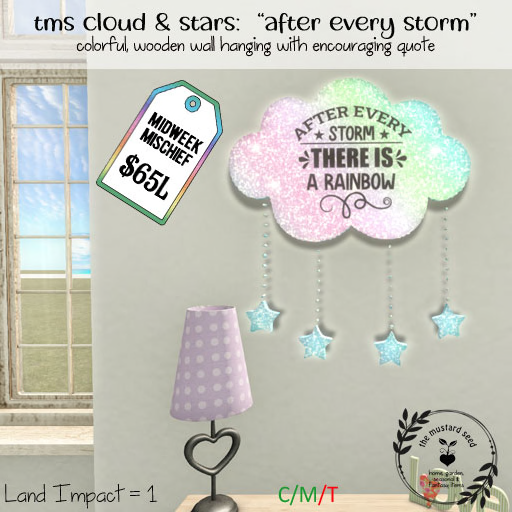 2 tms-cloud-and-stars-_-after-every-storm-MM-PIC2 -