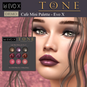 TONE 2 - Cafe Mini Palette for Evo Store BoardX