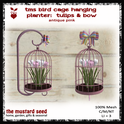 tms bird cage planter (wall) set #1 _ pink