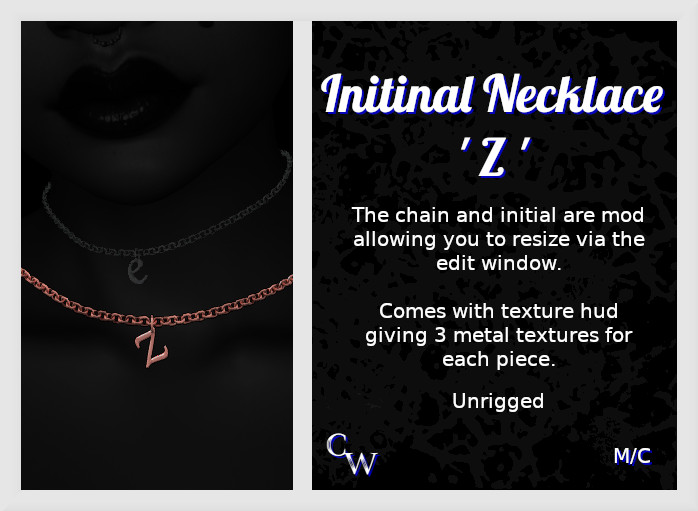 -CW- Initial Necklace Z Ad